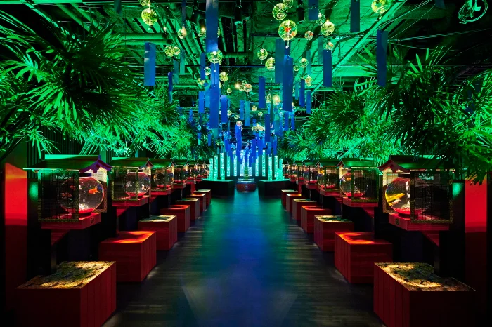 メタバース体験ができる？アートアクアリウム美術館 GINZAの魅力