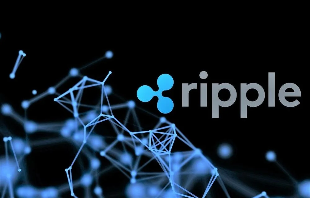 取引所BITがXRPオプション取引を開始！リスクは？先物取引との違いは？