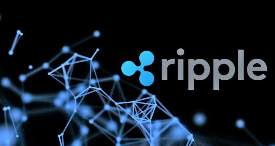 取引所BITがXRPオプション取引を開始！リスクは？先物取引との違いは？