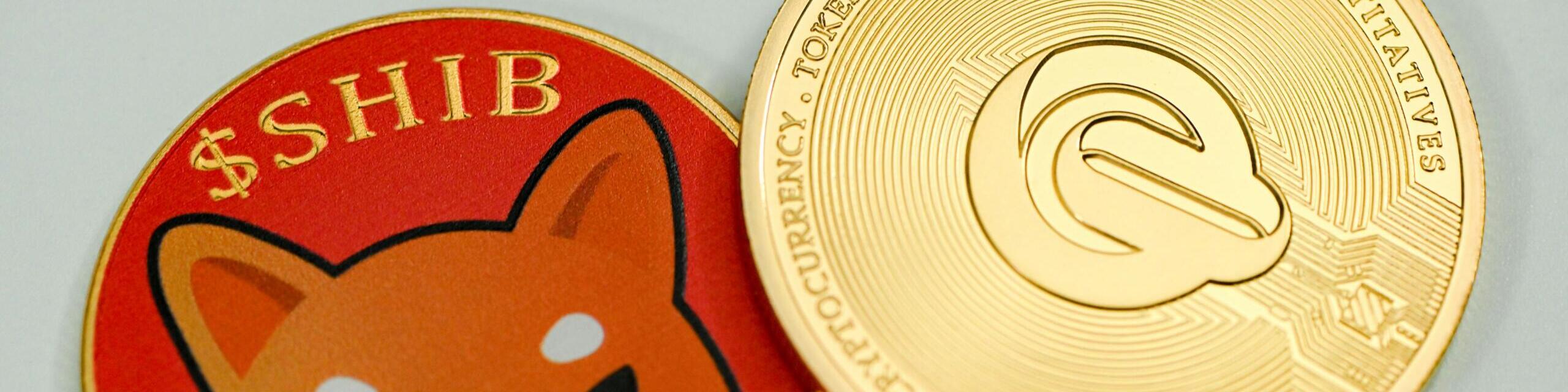 【柴犬コイン】億り人を多く生み出したって本当？今後の将来性も調査